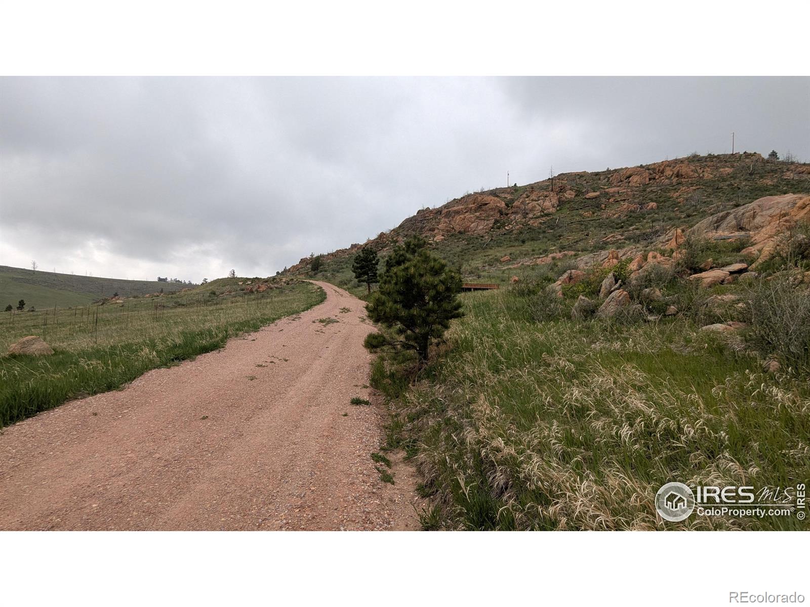 1191 Eiger Road Livermore CO 80536