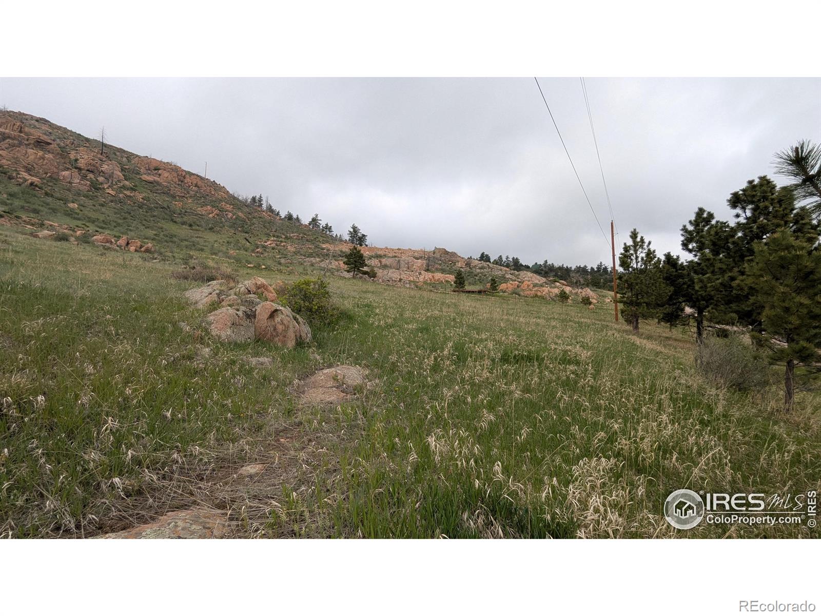 1191 Eiger Road Livermore CO 80536