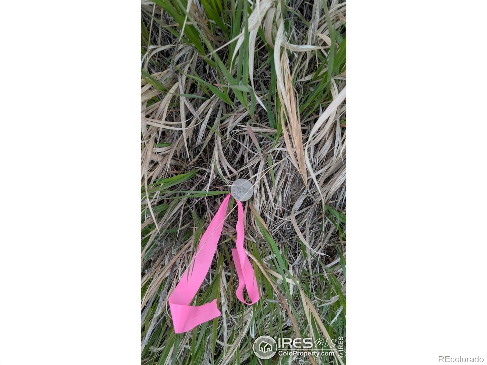 1191 Eiger Road Livermore CO 80536