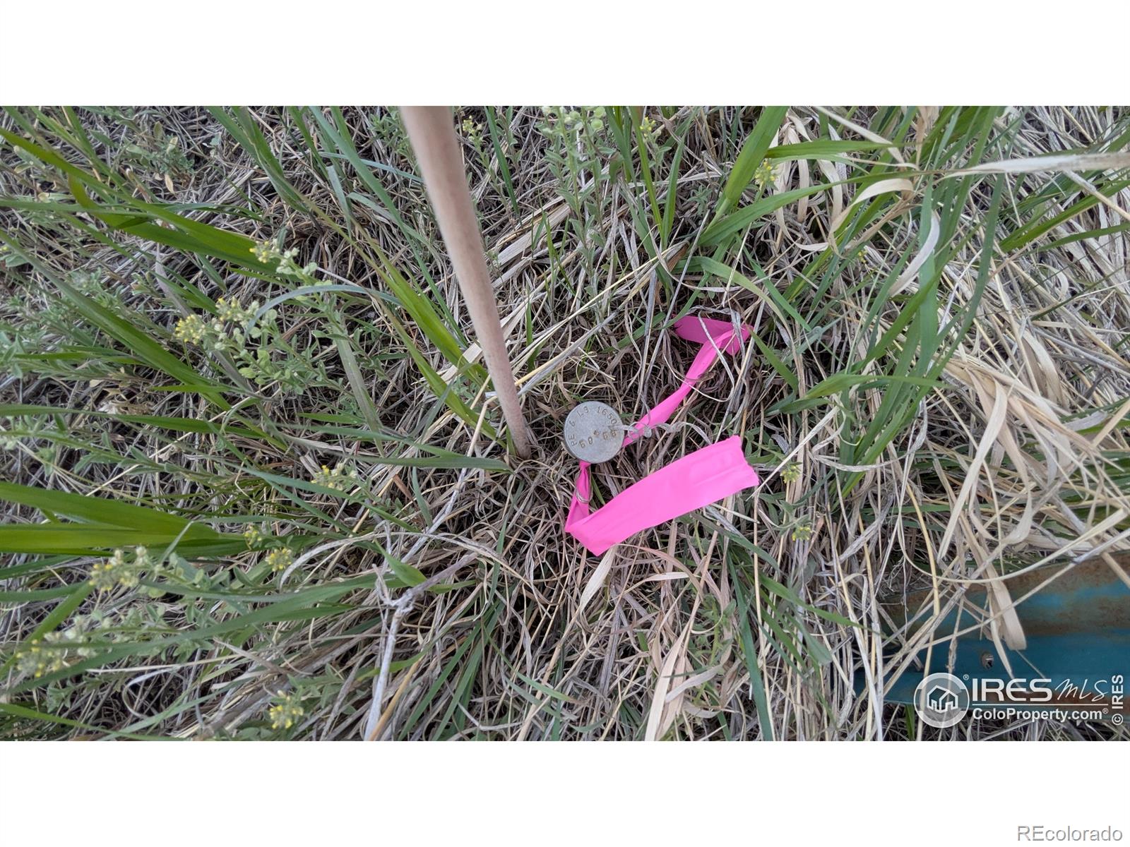1191 Eiger Road Livermore CO 80536