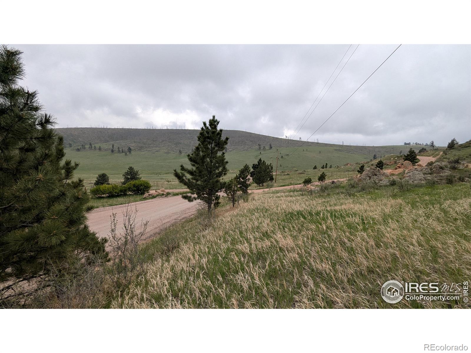 1191 Eiger Road Livermore CO 80536