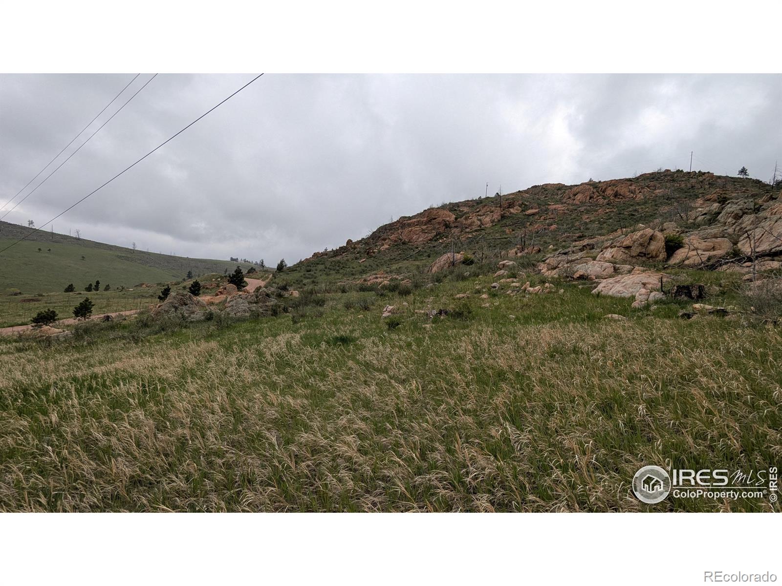 1191 Eiger Road Livermore CO 80536