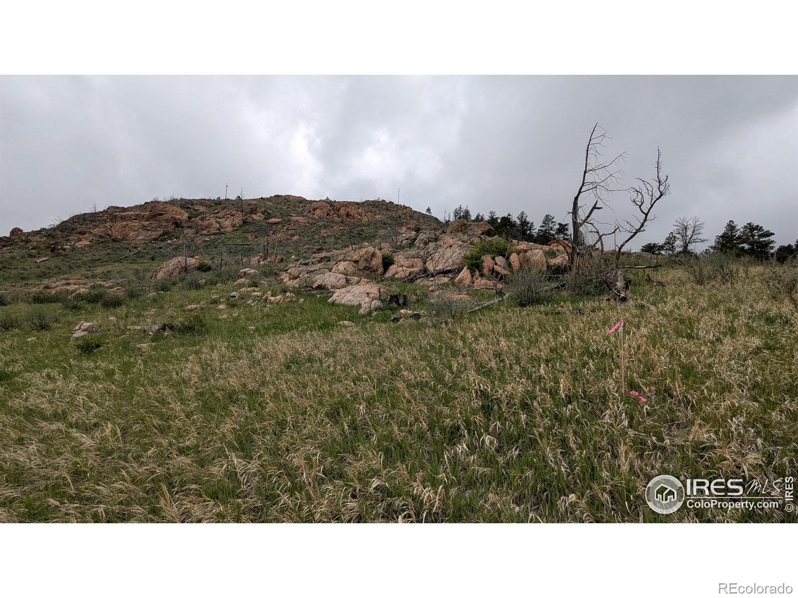 1191 Eiger Road Livermore CO 80536