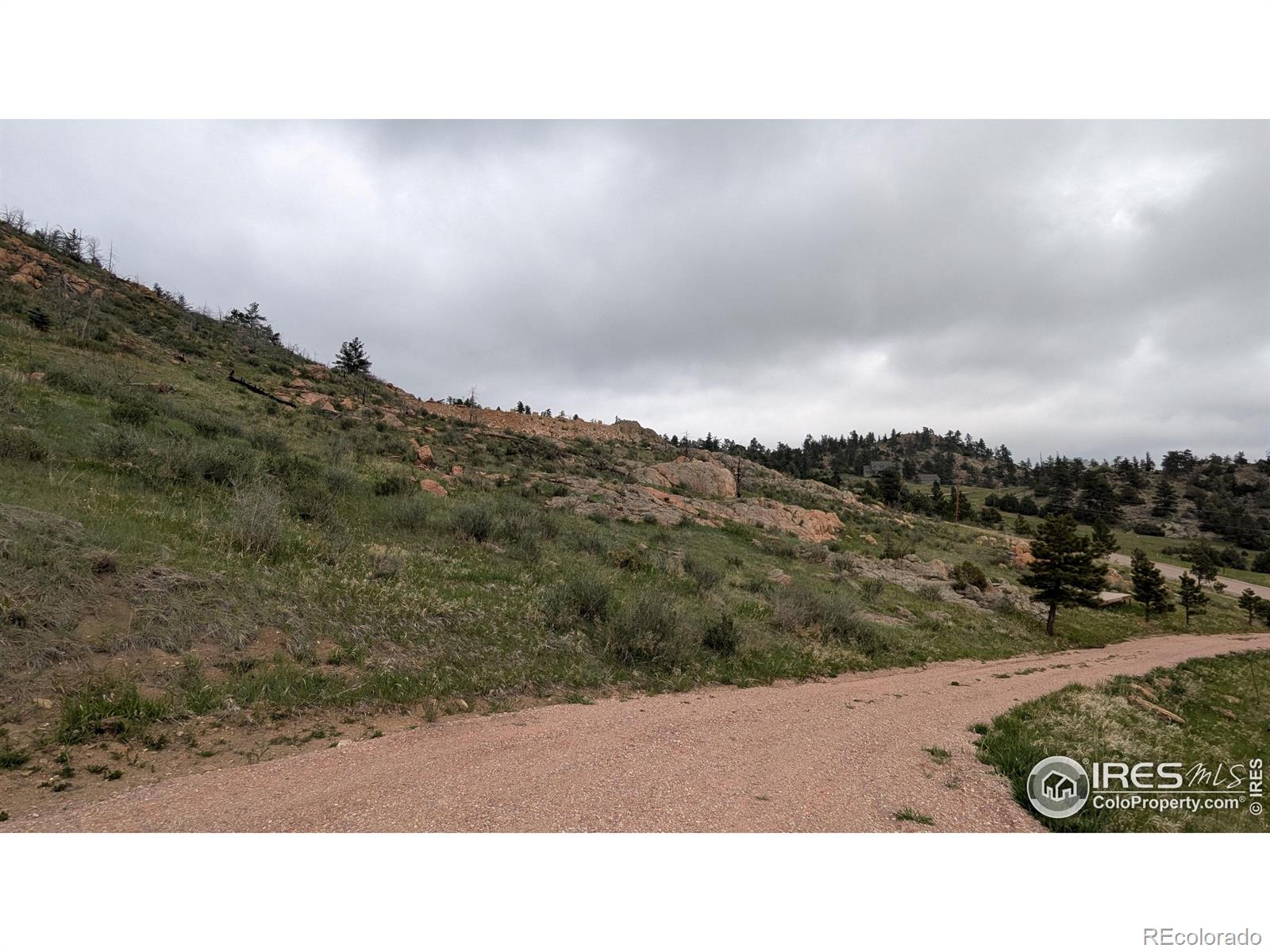 1191 Eiger Road Livermore CO 80536