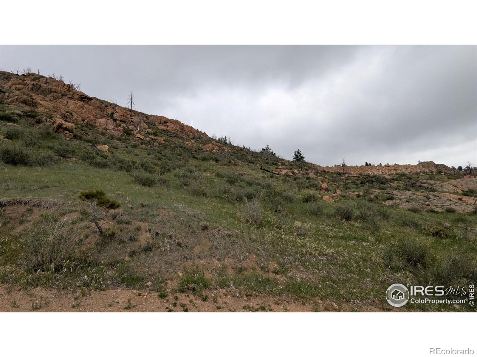 1191 Eiger Road Livermore CO 80536