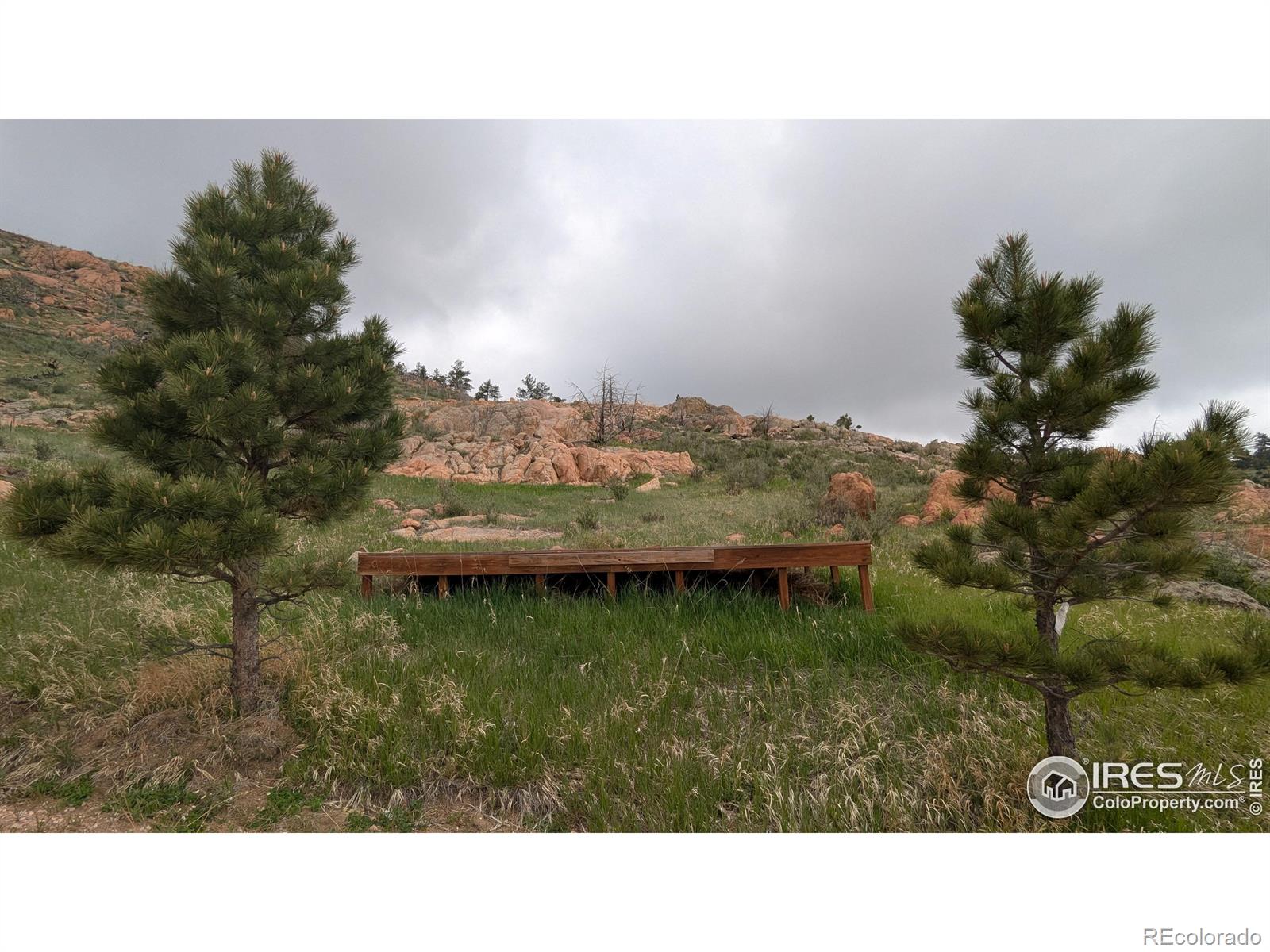 1191 Eiger Road Livermore CO 80536