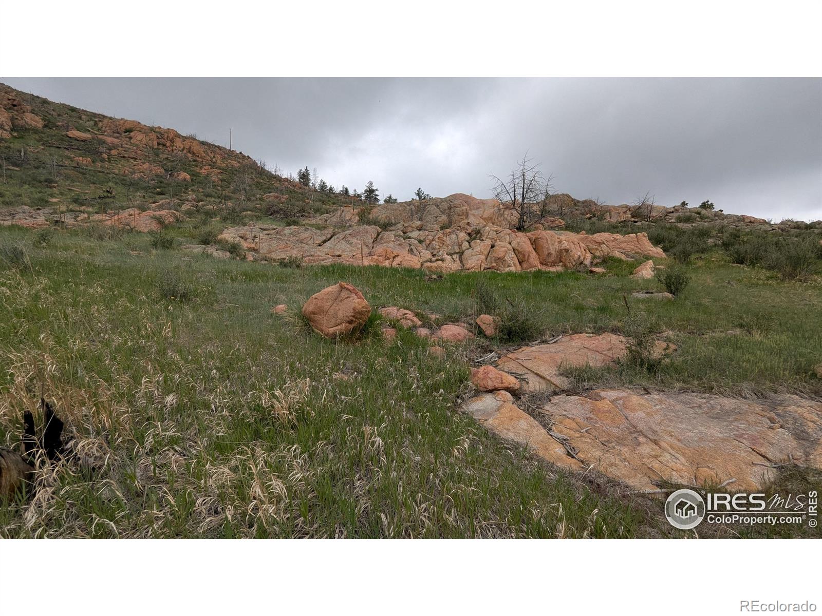 1191 Eiger Road Livermore CO 80536