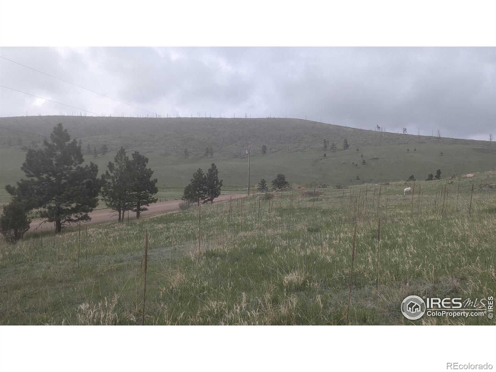 1191 Eiger Road Livermore CO 80536
