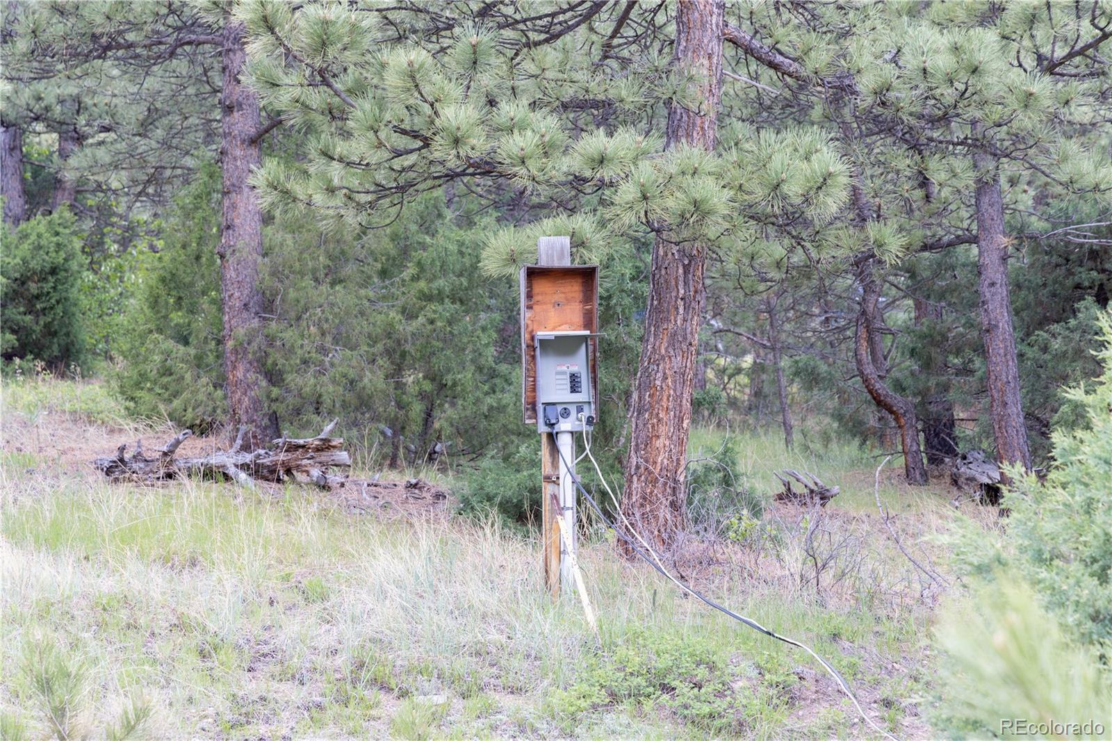 3600 Blue Mountain Trail Lyons CO 80540