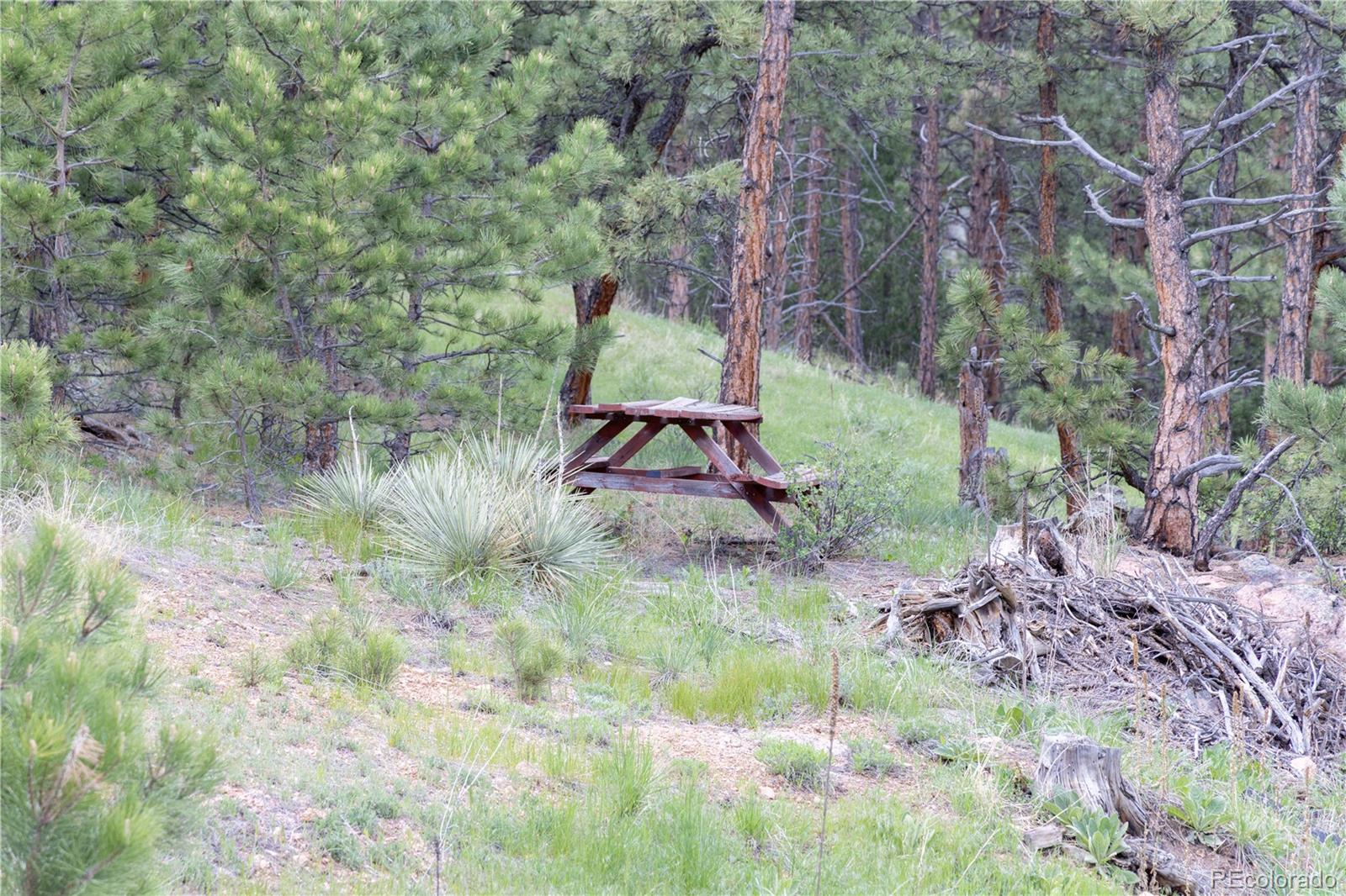 3600 Blue Mountain Trail Lyons CO 80540