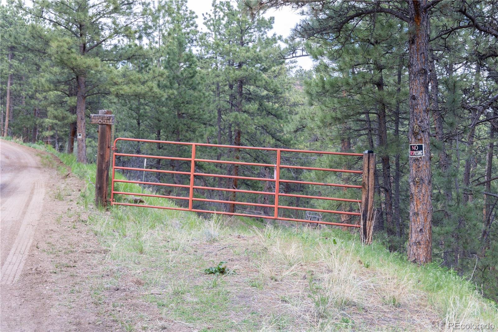 3600 Blue Mountain Trail Lyons CO 80540