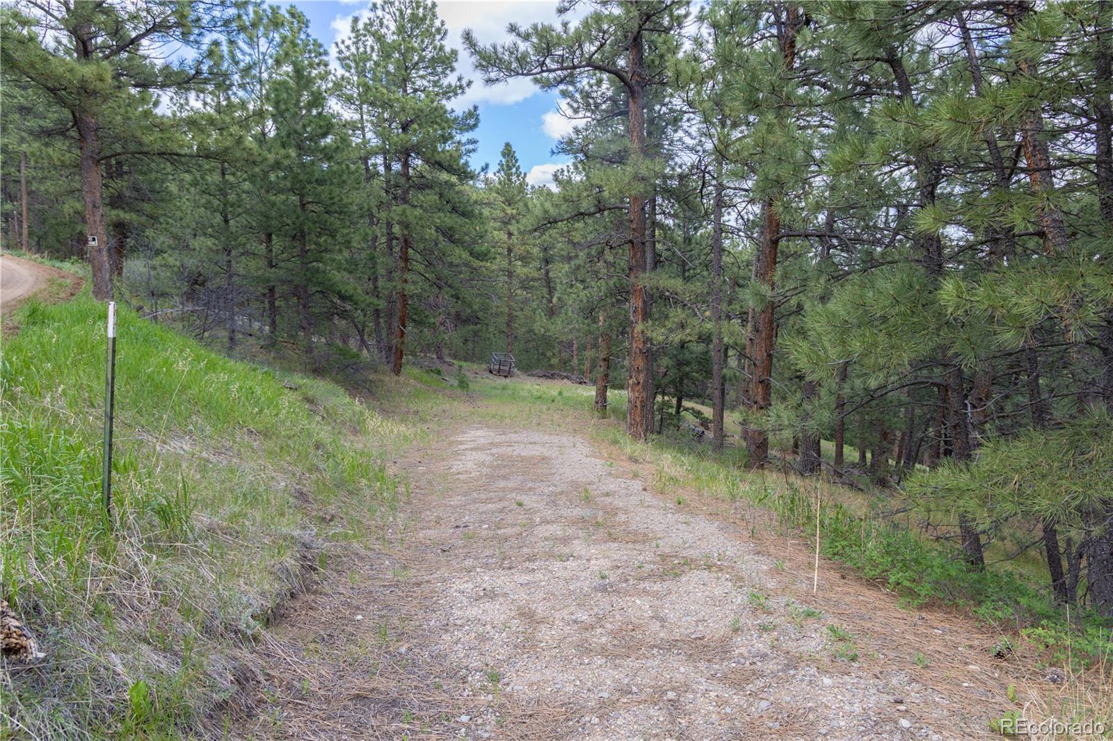 3600 Blue Mountain Trail Lyons CO 80540