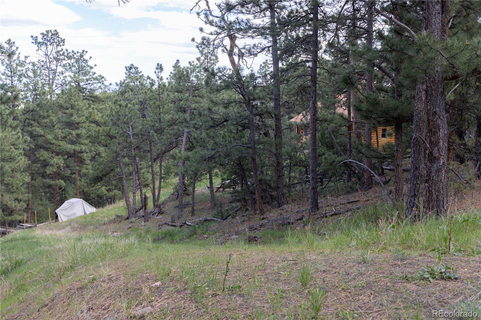 3600 Blue Mountain Trail Lyons CO 80540