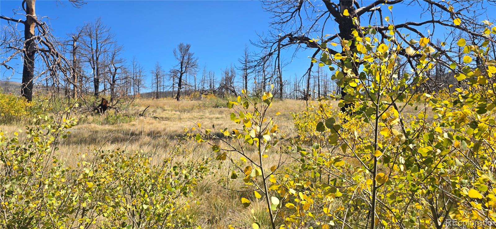 Lot 1684 Emery Loop Fort Garland CO 81133