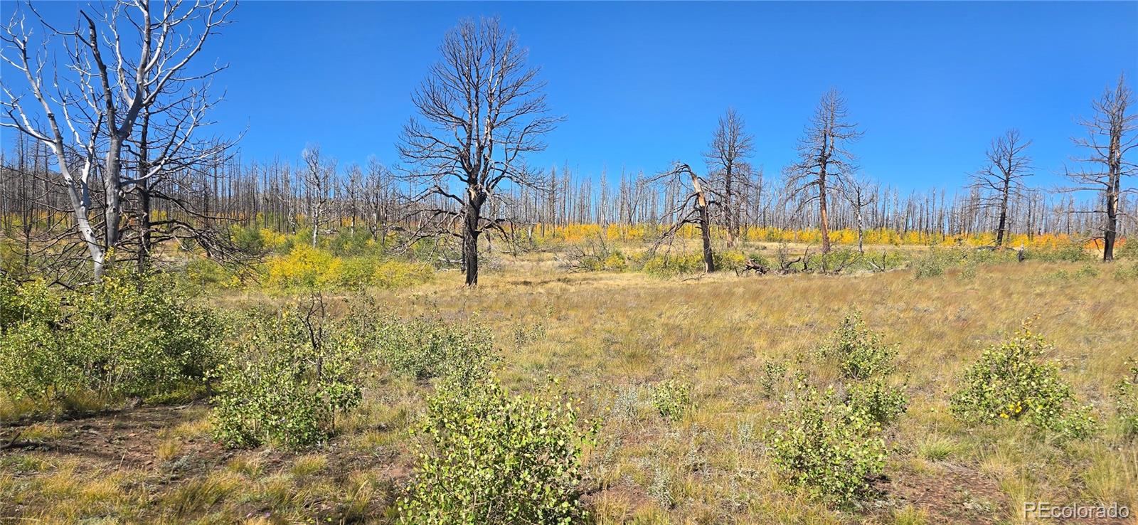 Lot 1684 Emery Loop Fort Garland CO 81133