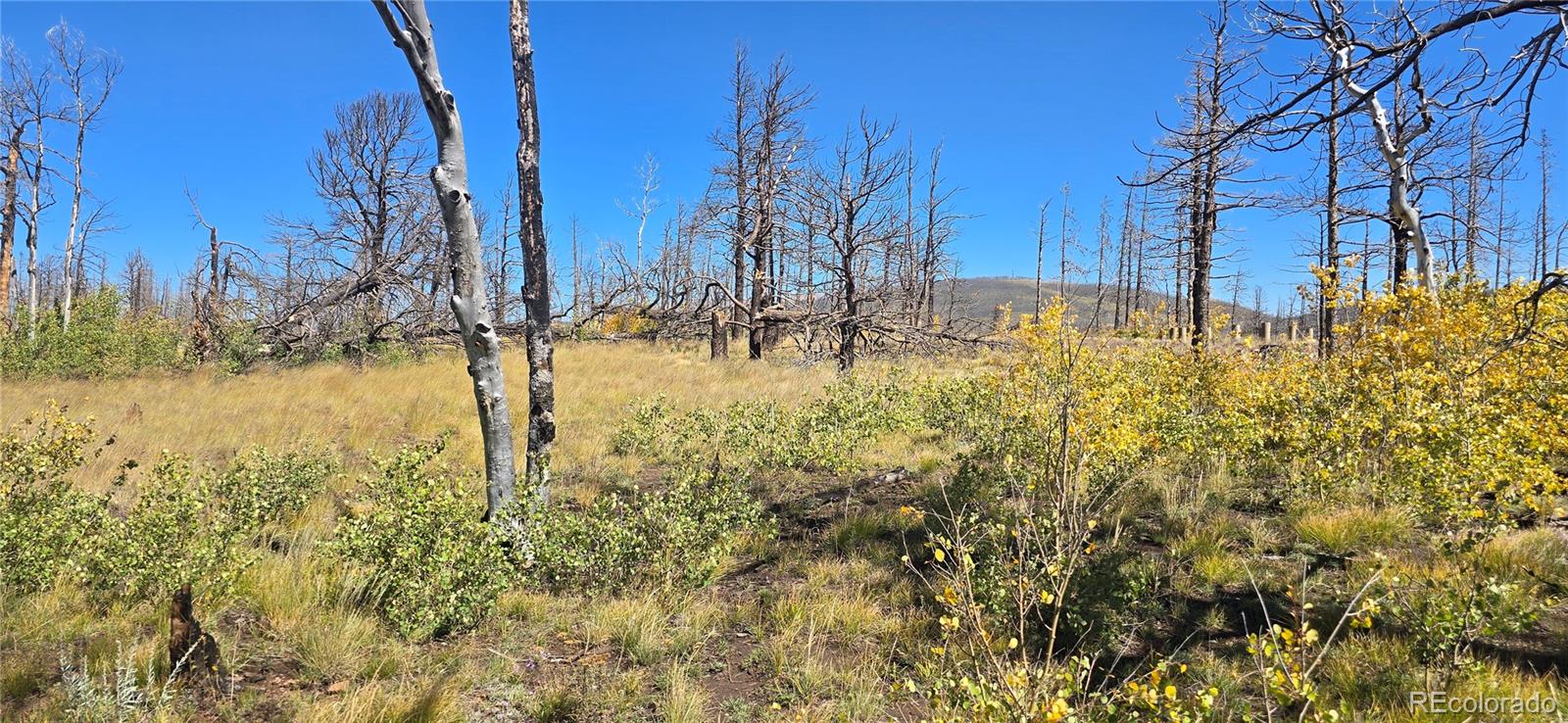 Lot 1684 Emery Loop Fort Garland CO 81133