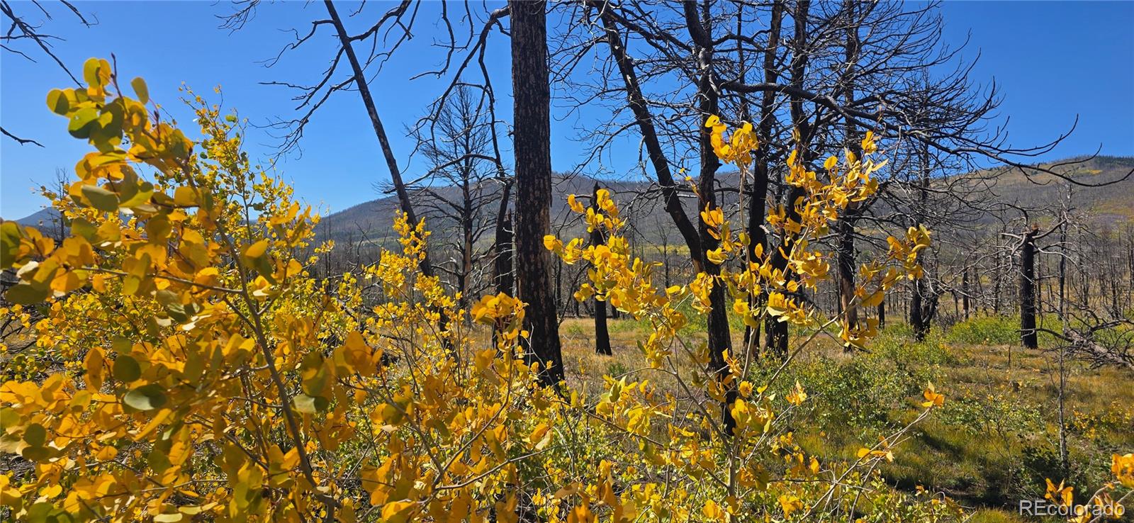 Lot 1684 Emery Loop Fort Garland CO 81133