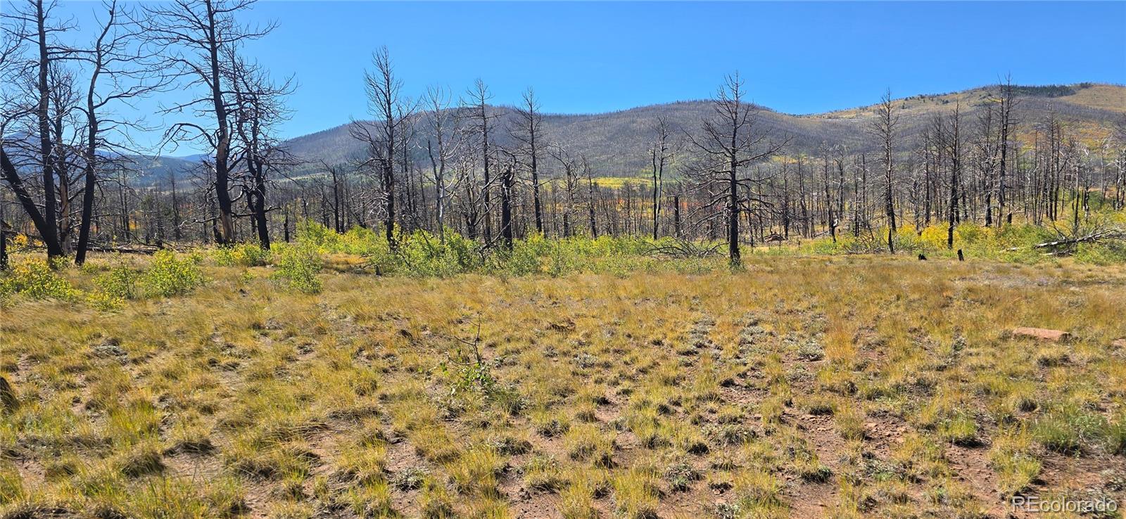Lot 1684 Emery Loop Fort Garland CO 81133