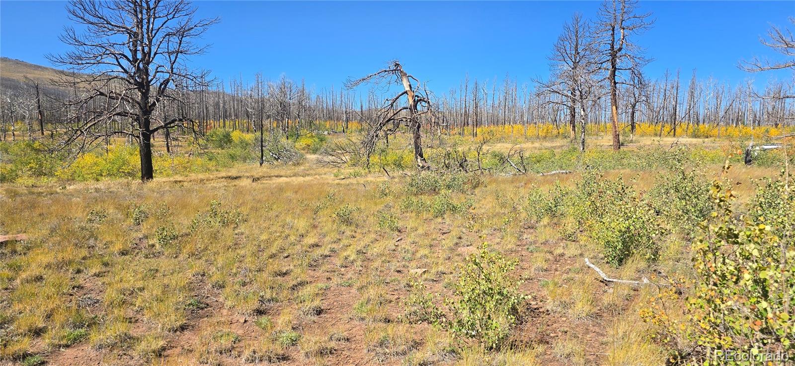 Lot 1684 Emery Loop Fort Garland CO 81133