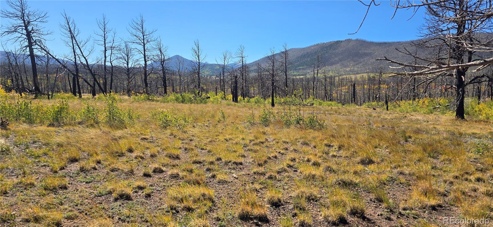 Lot 1684 Emery Loop Fort Garland CO 81133