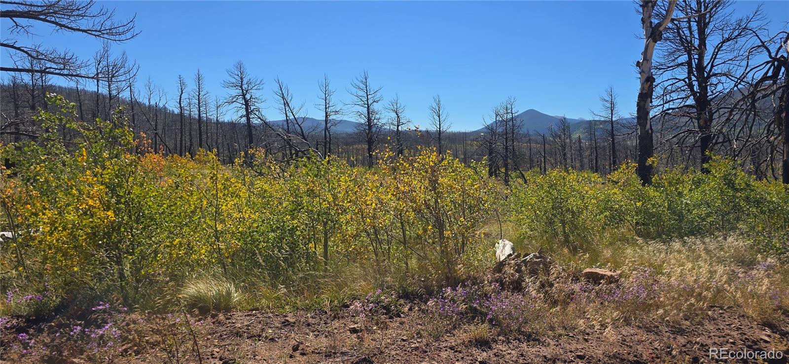 Lot 1684 Emery Loop Fort Garland CO 81133