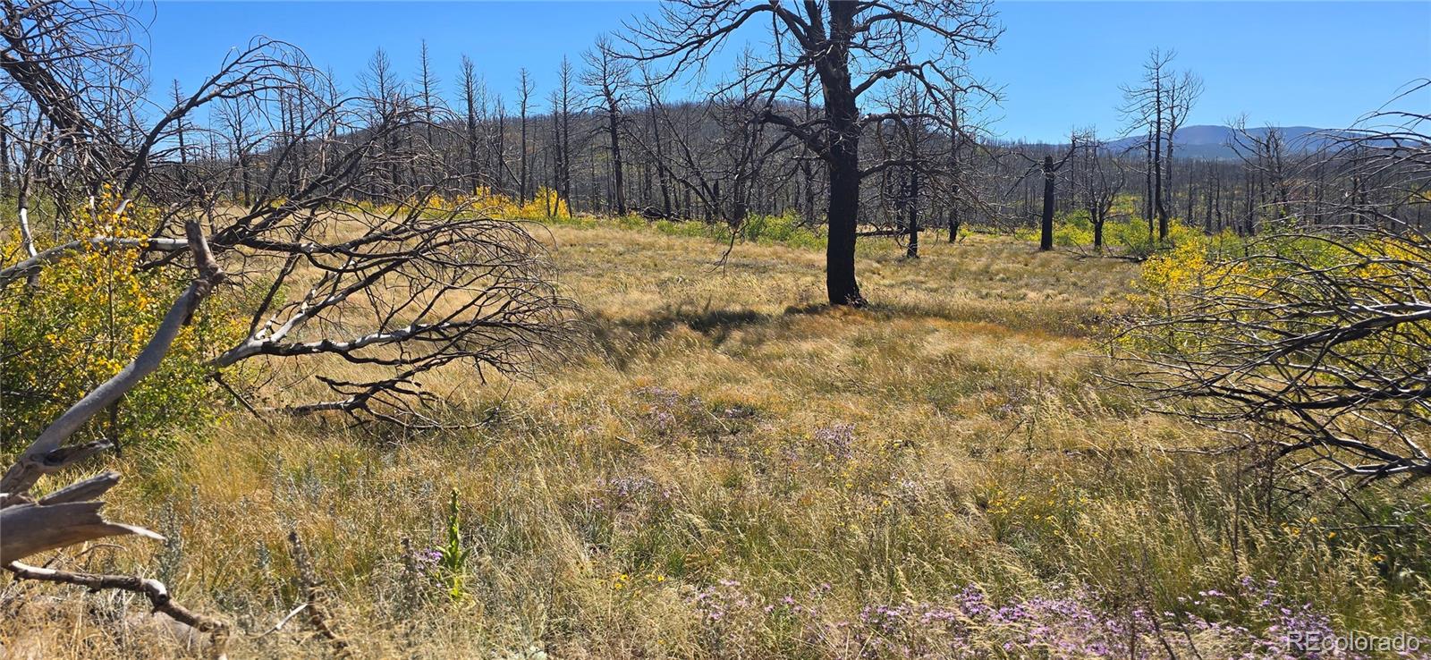 Lot 1684 Emery Loop Fort Garland CO 81133