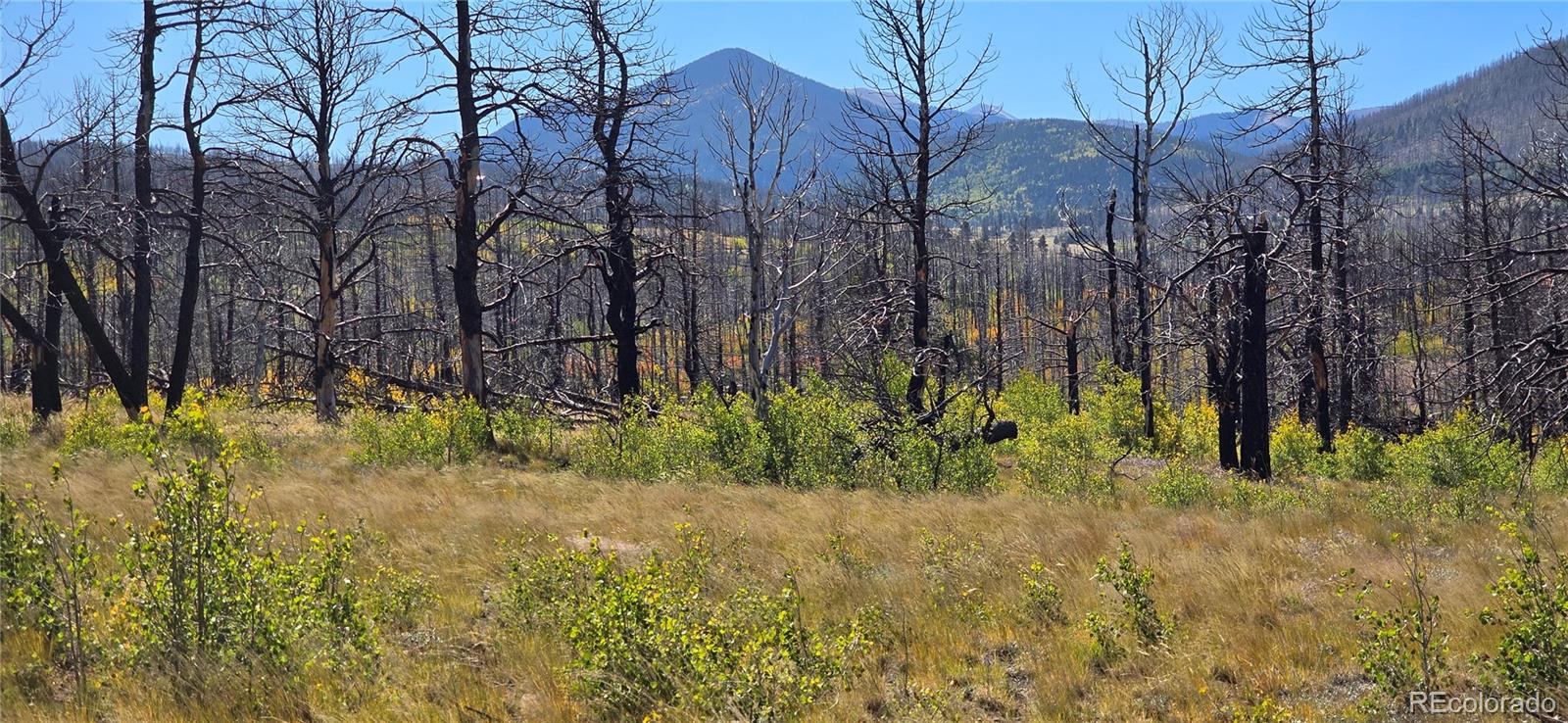 Lot 1684 Emery Loop Fort Garland CO 81133