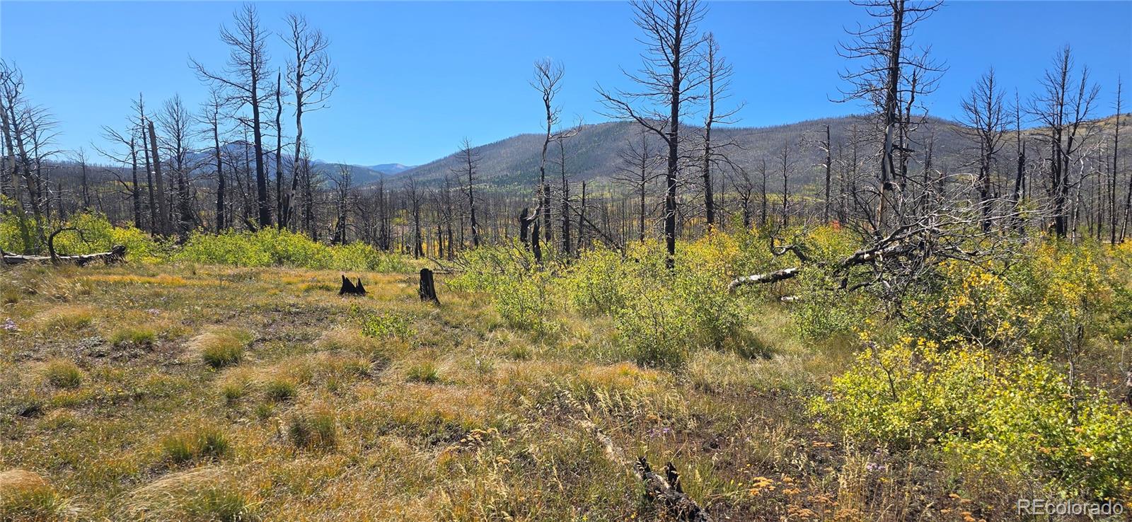 Lot 1684 Emery Loop Fort Garland CO 81133