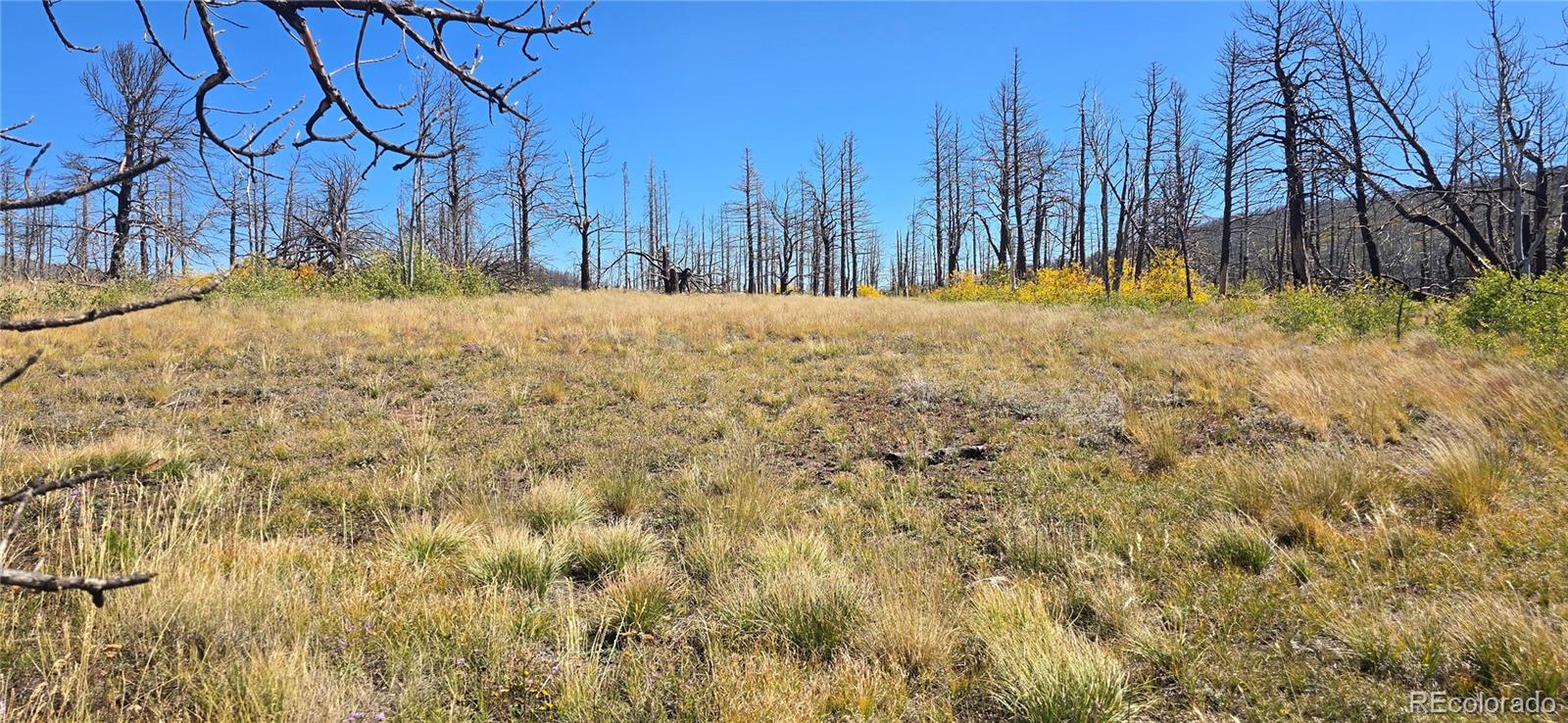 Lot 1684 Emery Loop Fort Garland CO 81133
