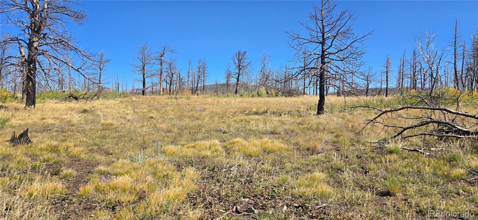 Lot 1684 Emery Loop Fort Garland CO 81133