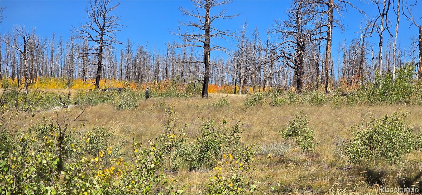 Lot 1684 Emery Loop Fort Garland CO 81133