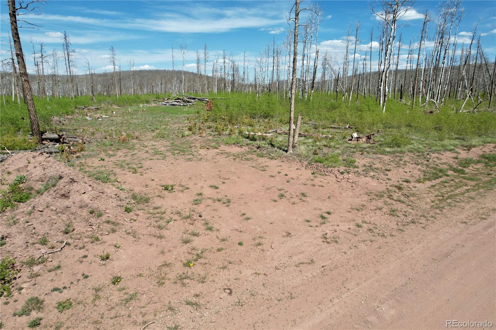 1426 Hassan Lane Fort Garland CO 81133