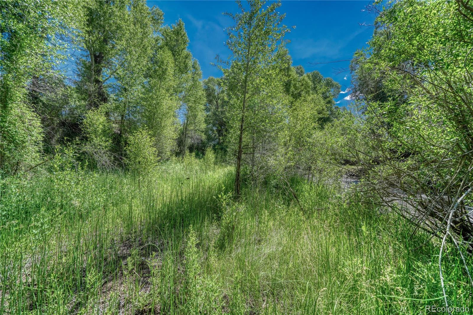 8086 W Us Highway 50 Salida CO 81201