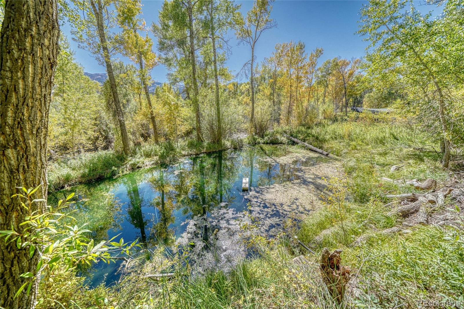8086 W Us Highway 50 Salida CO 81201