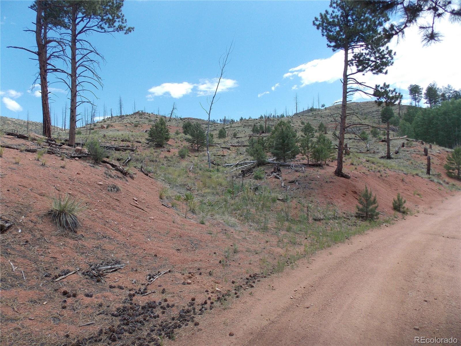 14691 Crooked Trail Road Woodland Park CO 80863