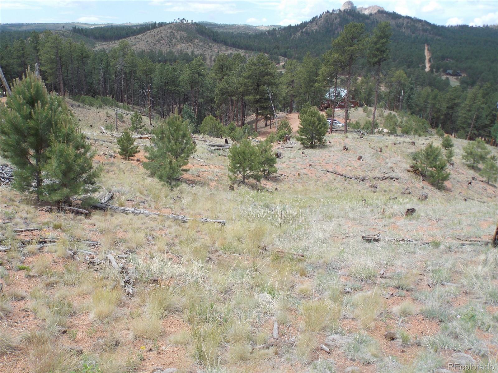 14691 Crooked Trail Road Woodland Park CO 80863