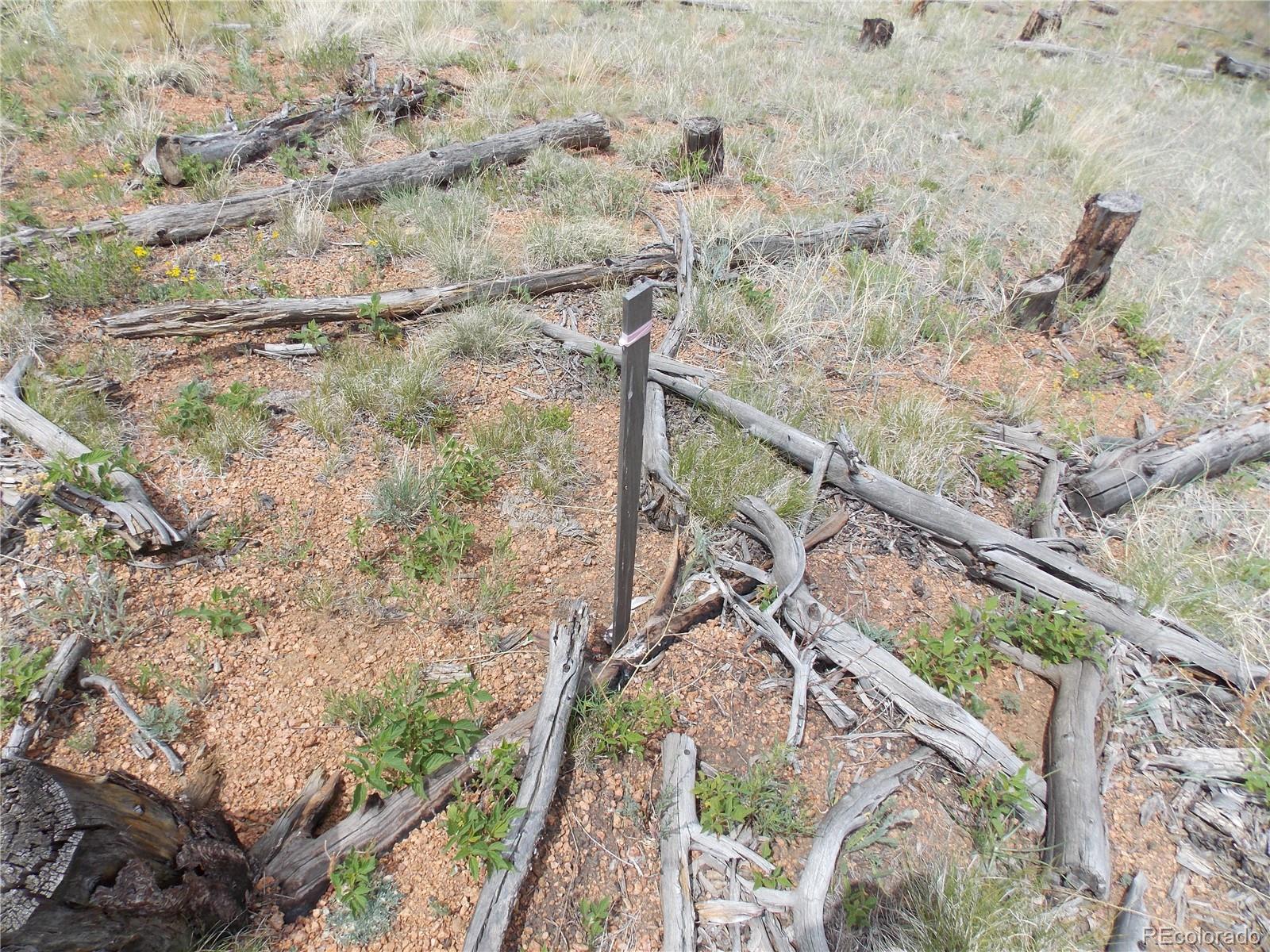 14691 Crooked Trail Road Woodland Park CO 80863