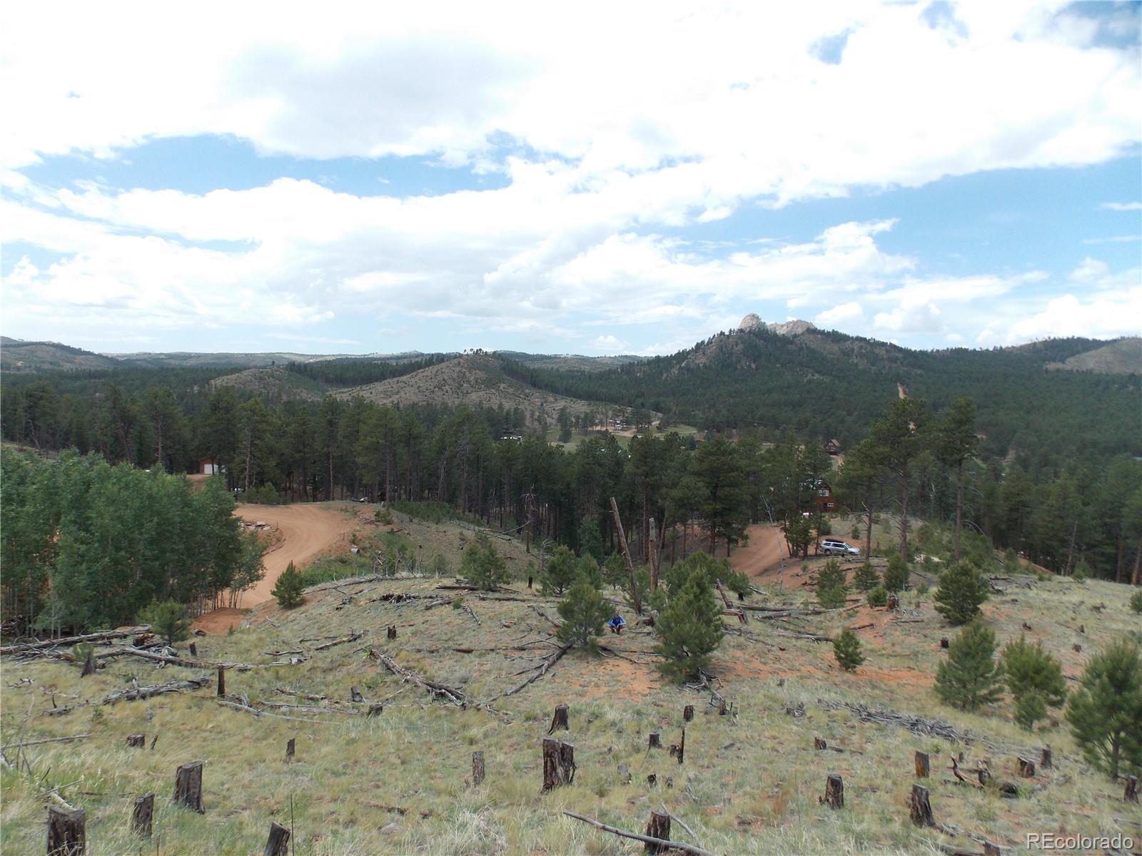 14691 Crooked Trail Road Woodland Park CO 80863