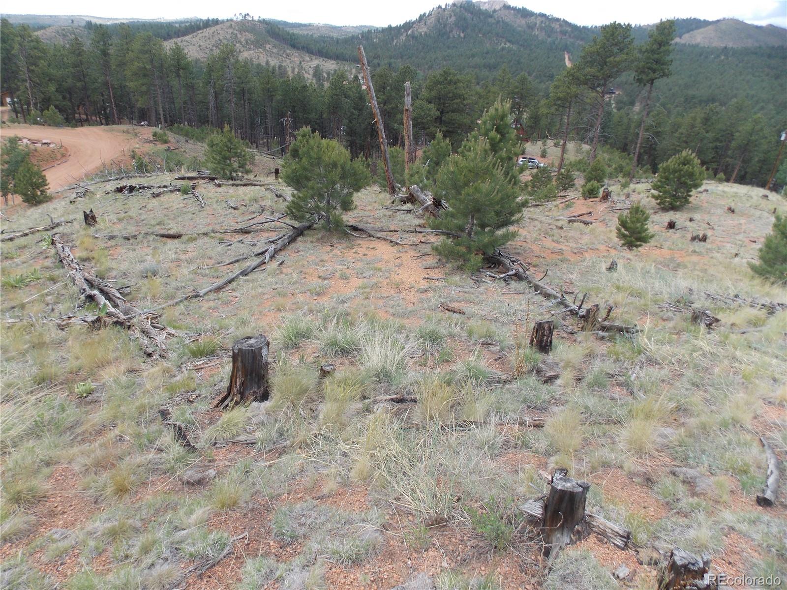 14691 Crooked Trail Road Woodland Park CO 80863