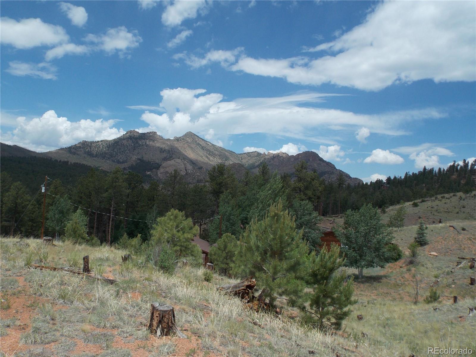 14691 Crooked Trail Road Woodland Park CO 80863