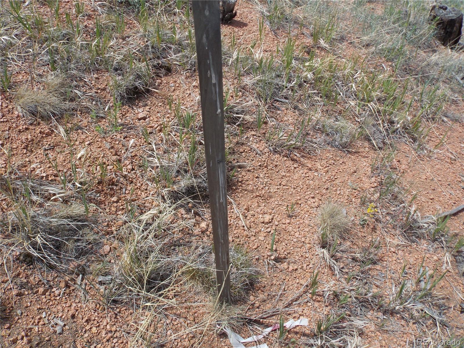 14691 Crooked Trail Road Woodland Park CO 80863