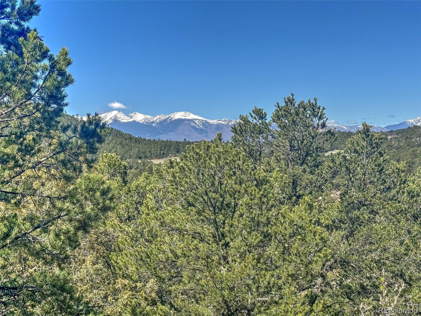 176 Bel Air Way Cotopaxi CO 81223