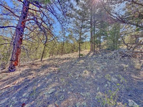 176 Bel Air Way Cotopaxi CO 81223