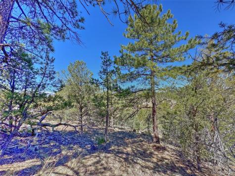 176 Bel Air Way Cotopaxi CO 81223
