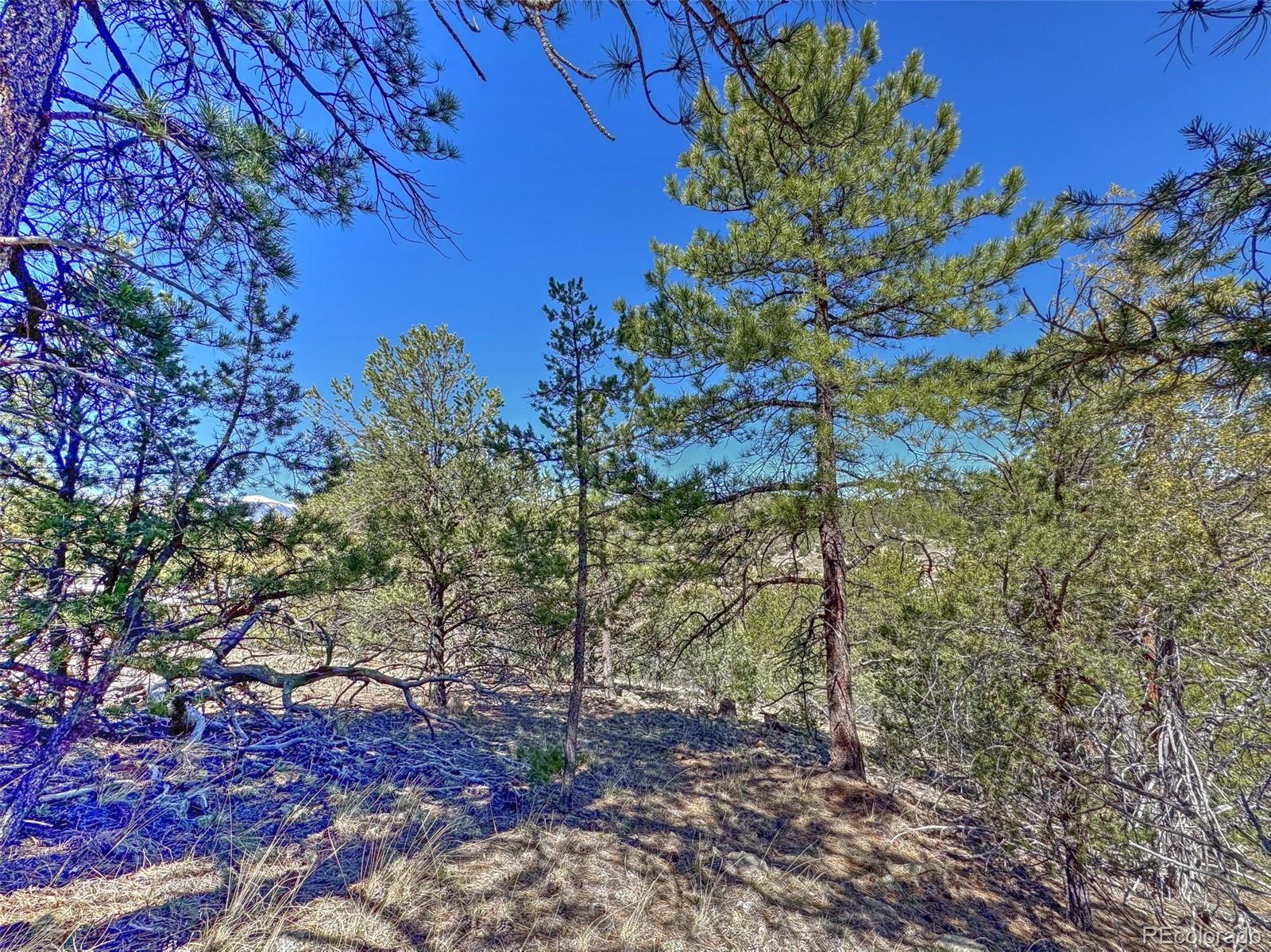176 Bel Air Way Cotopaxi CO 81223