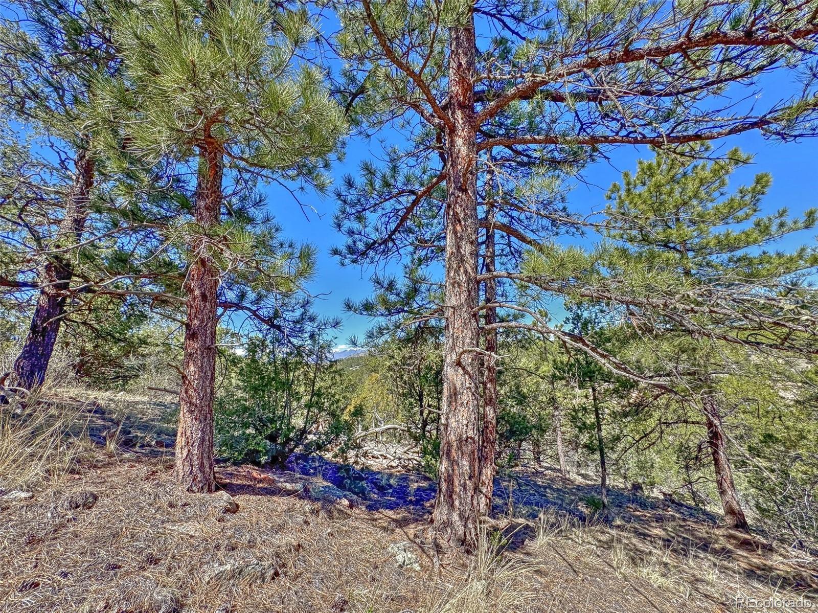 176 Bel Air Way Cotopaxi CO 81223