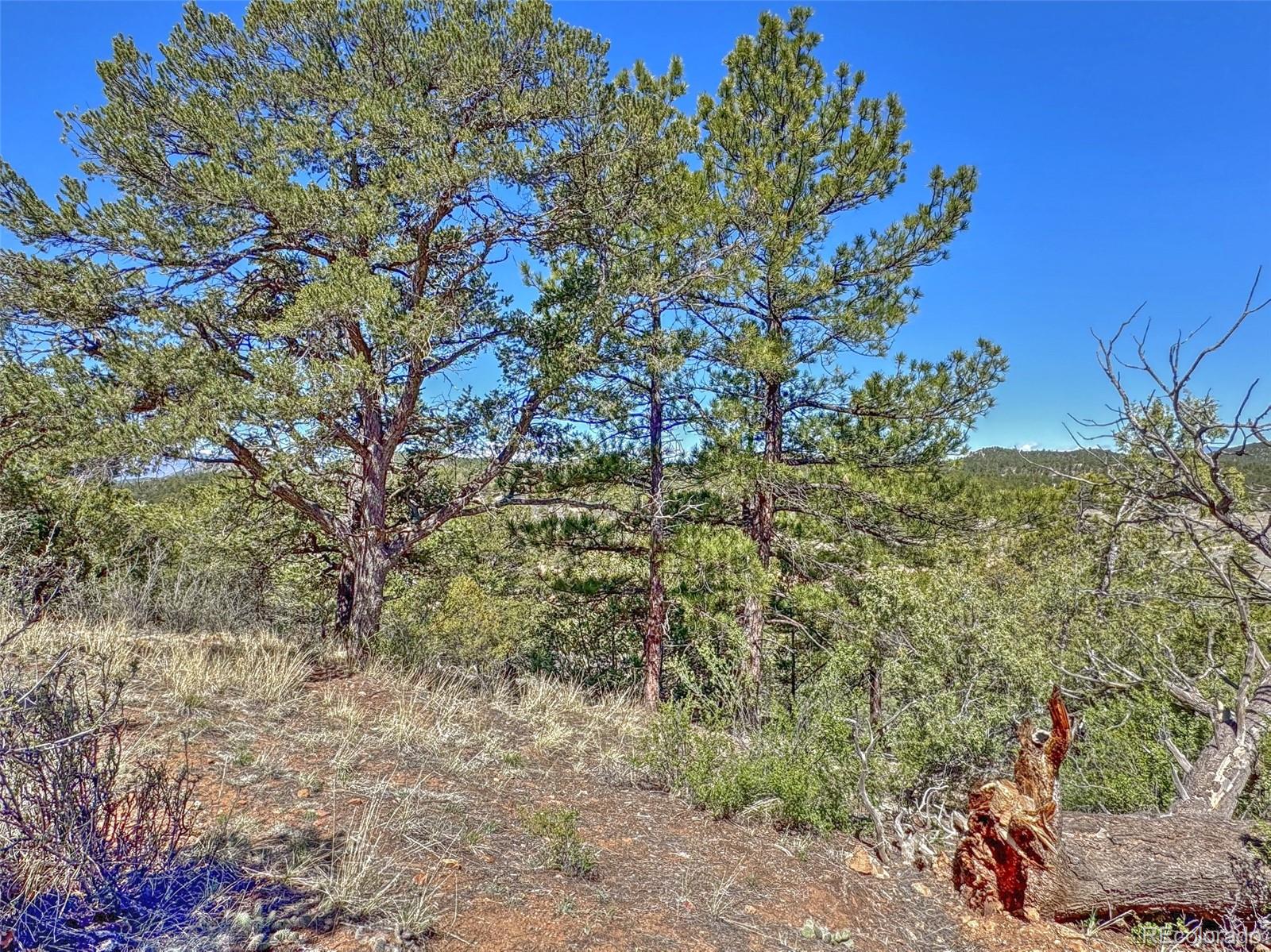 176 Bel Air Way Cotopaxi CO 81223