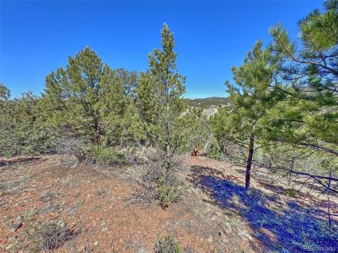 176 Bel Air Way Cotopaxi CO 81223