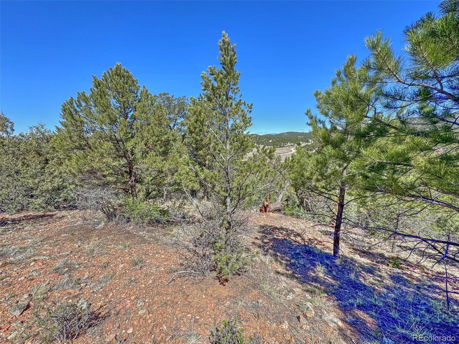 176 Bel Air Way Cotopaxi CO 81223