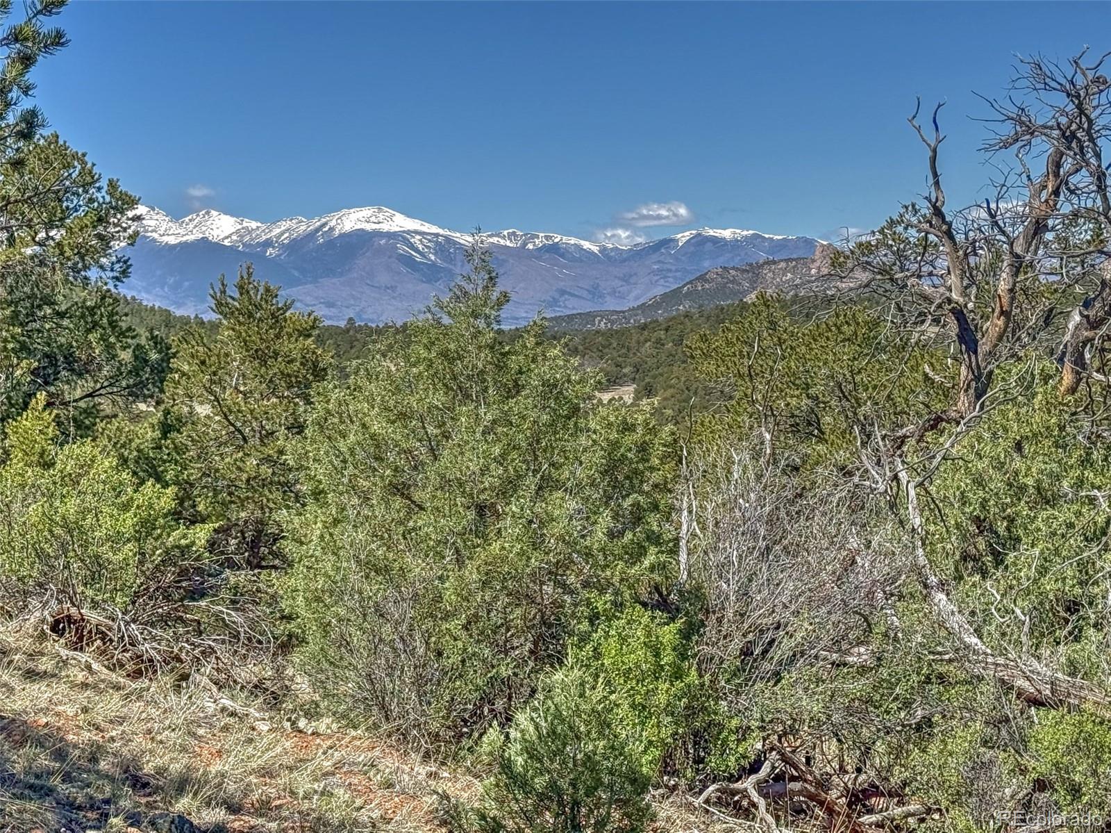 176 Bel Air Way Cotopaxi CO 81223